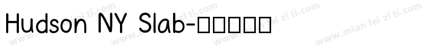 Hudson NY Slab字体转换